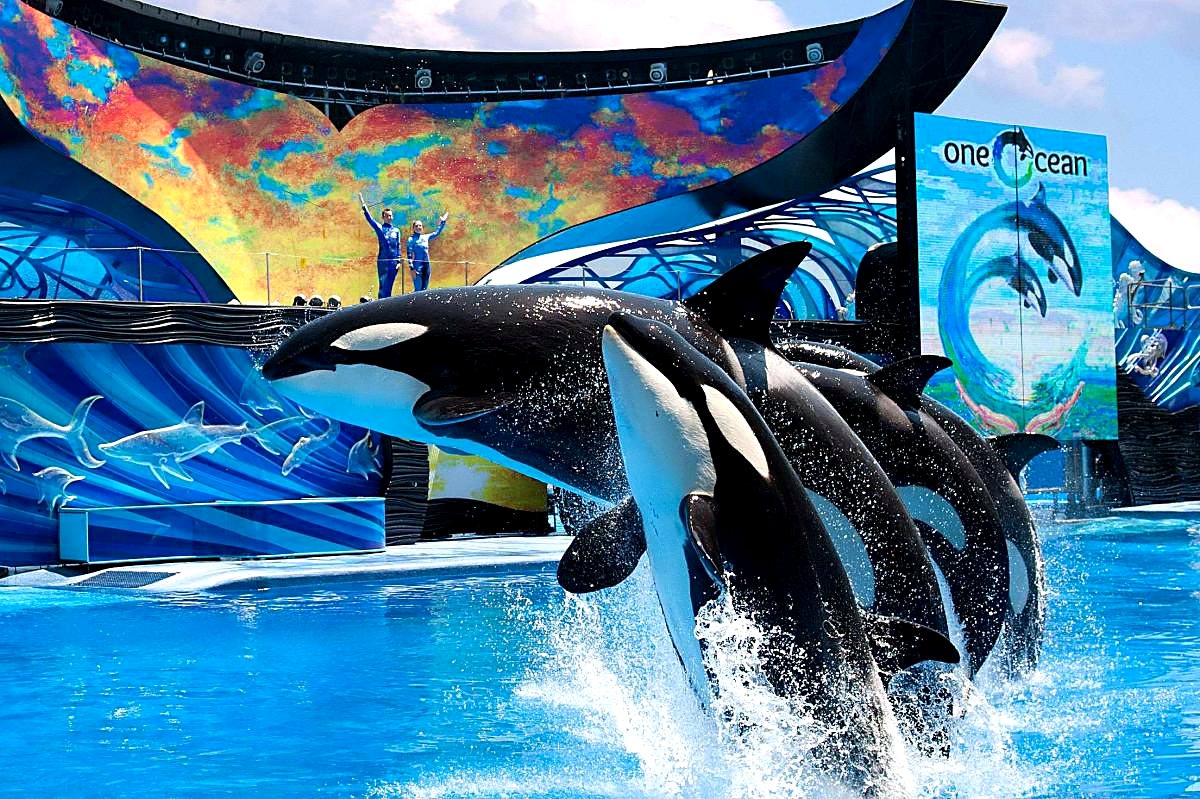 Ingressos SeaWorld